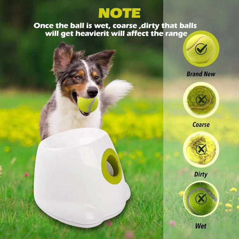 Automatic Dog Ball Launcher — Survives Dogs That Destroy Everything